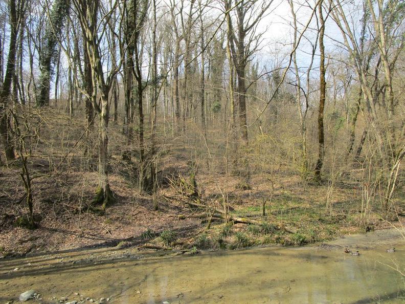 Image 1 - Réserve forestière Valle della Motta